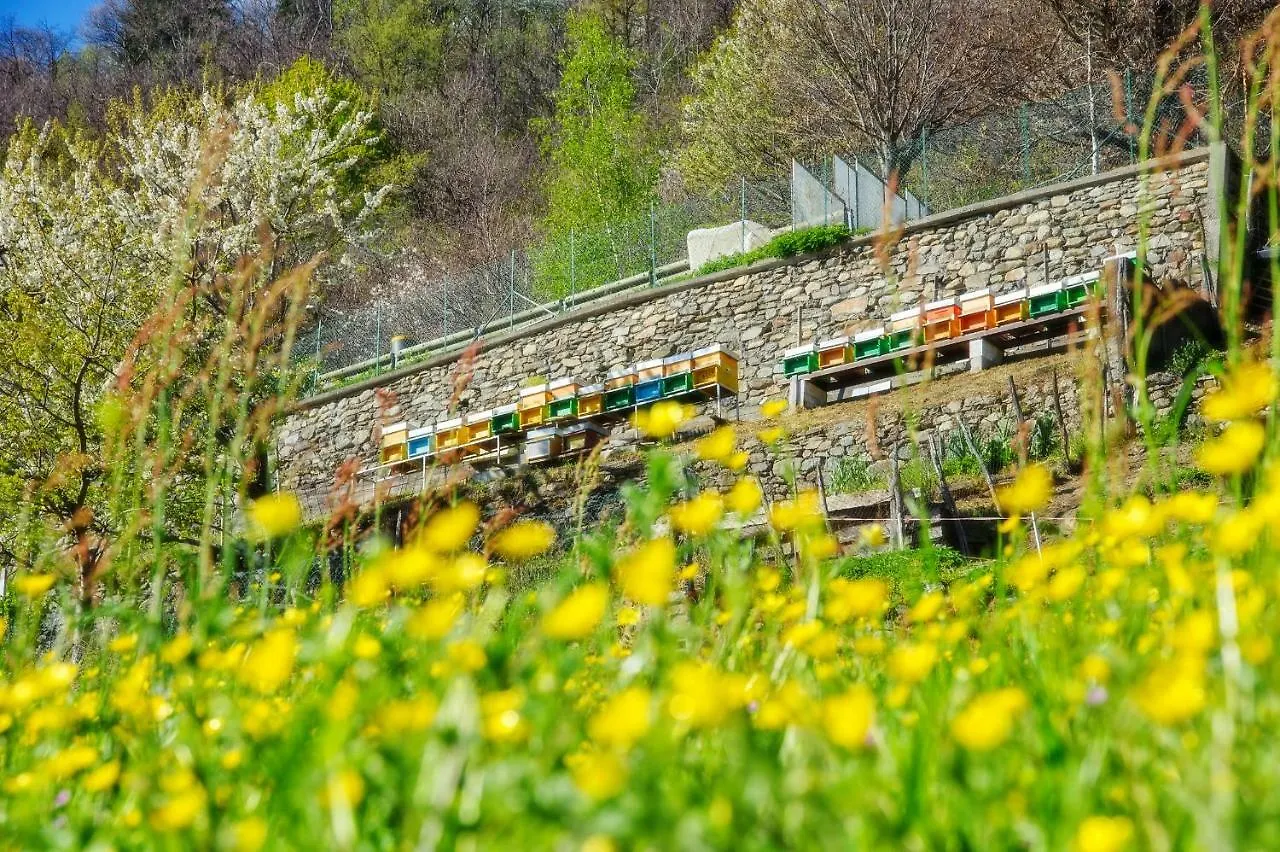 Agriturismo Luloc Buglio in Monte Farm stay