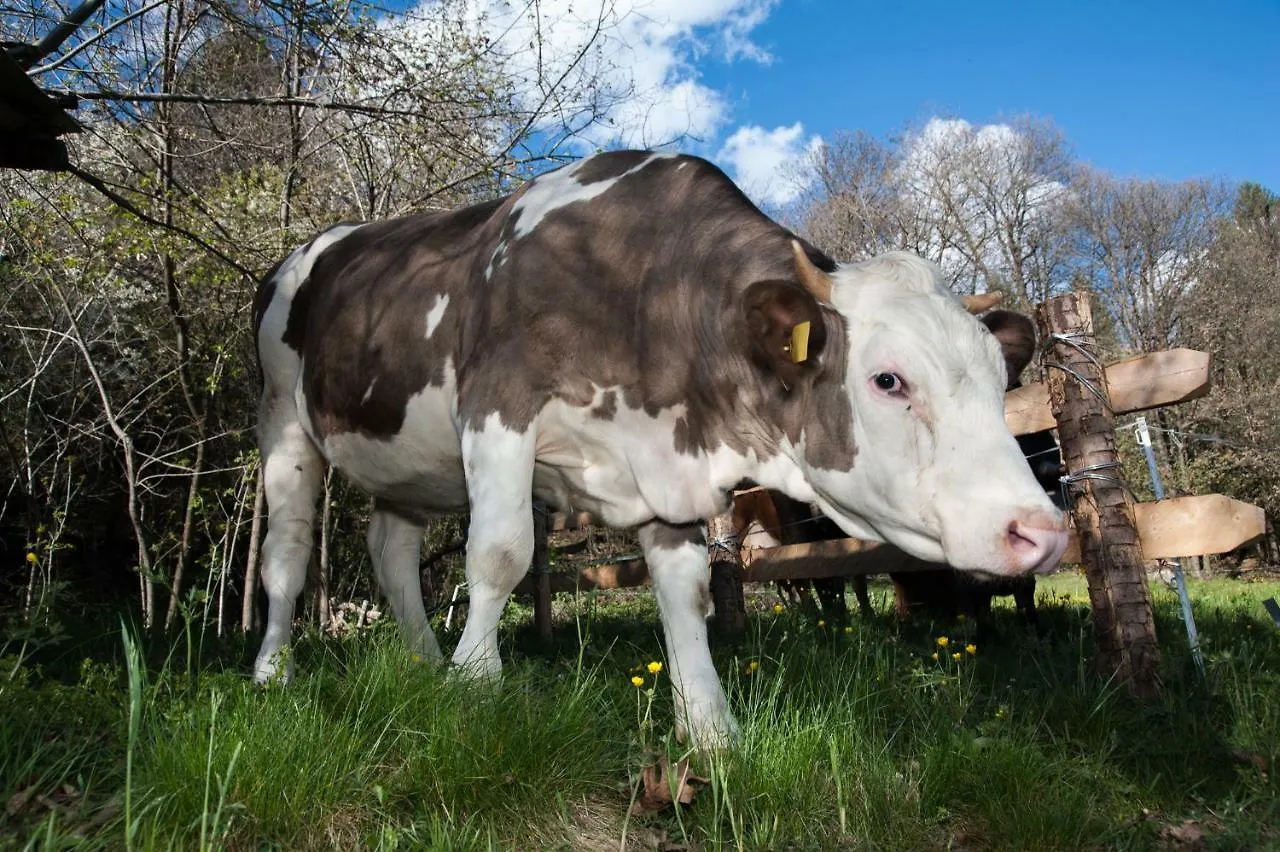 Farm stay Agriturismo Luloc Buglio in Monte